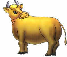 ��ţ�����׽������Ƽ� 