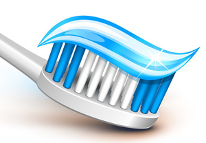 ������Ҫ�ɷ�