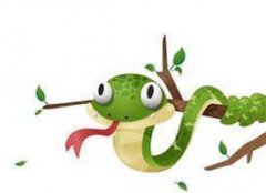 ���ߵ������ż ���߸�ʲô������