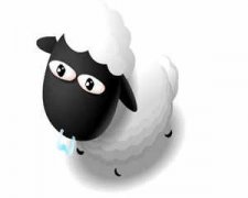 �����ʲô�������� ����Ļ����