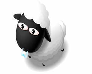 属羊和什么属相最配