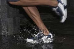 ���������ܲ����� �����ܲ�