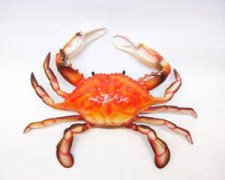 ��з���Ӱ�ָ������ �����Ӱ����а�