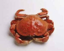 ��з����Ӱ�Ƽ��� ������Ӱ�Ƽ�