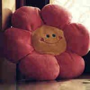 ʮ���������µ�������������