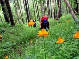 ����ͽ����ע������