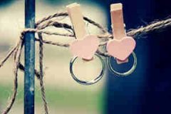 ʮ��������Ա� ʮ�����������