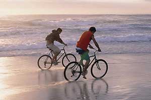 ���ѡ����ʵ����г�