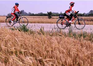 ��������װ��ѡ��