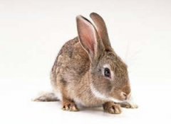 һ�ܽ�����������֮��Ů�� 6��15��21������