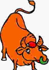 һ�ܽ�����������֮��ţ��