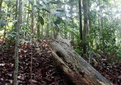 ����̽�յ�ע������ Ҫ���ó����׼��