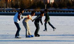 ���������������� ������ϵ��������