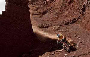 ɽ���ٽ���ע������