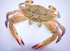 һ�ܽ�����������֮��з�� 6��15��21������