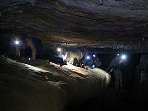 ̽���ıر�����