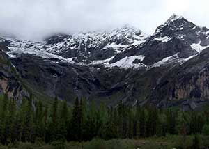 �����ʵ�ѡ����Щѩɽ