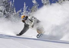 ���廬ѩ��ѵ������ ����ѵ������ѵ��