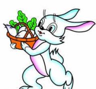 ������Athena2015��������������֮˫����