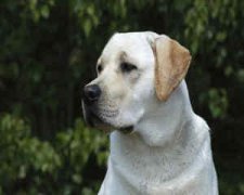 ���������·ݵ����� �����˳���������