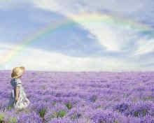 ���Ǳ�����12�����Ը�