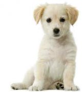 ������2015������ ������2015��������ô��