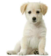 ������2015������