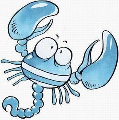 Shelley2015������������֮��Ы��