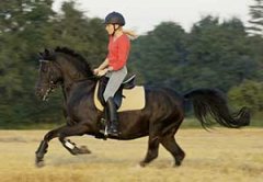 ������ע������ װ������������