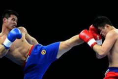 �������˶�ɢ�� ɢ�������