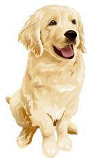 2015�������˵��˳�