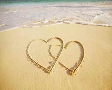 ʮ���������Թ��� ʮ���������˻�������������