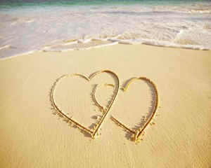 ʮ���������Թ��� 