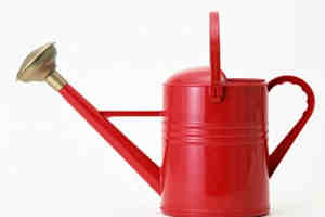 水瓶座性格分析