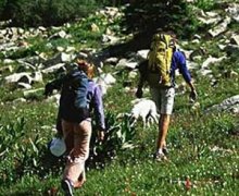 �����ɽ�ĺô� �����ɽ����Щ�ô�