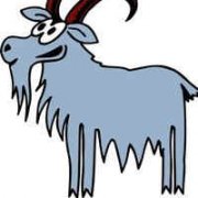 �귨��2015��������������֮Ħ����