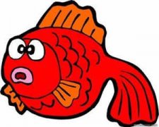 ˫�����Ը����� ˫�����Ը���������