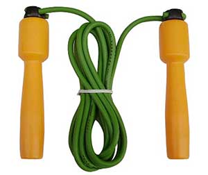 ļ