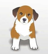 �����Ķ���� �����Ľ�������