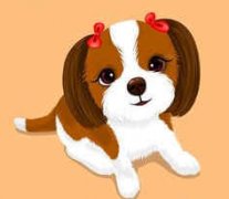 ��������2015���˳� 2015��������ȫ������