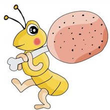 6��8����14��һ����������������Ϣ