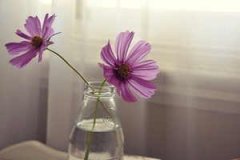 ˫������������ 2015������annemilk˫������