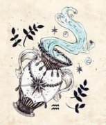 ����2015��������������֮ˮƿ��