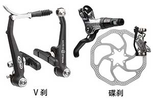 ��ɲ��vɲ������