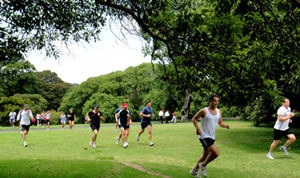 ���Ͽո��ܲ�����