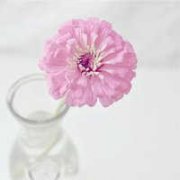 �귨�ﱾ���������� 6��8����14������