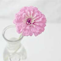 �귨�ﱾ����������