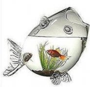 С�������׿��2015��������������֮˫����