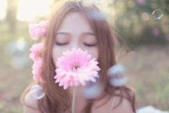 �����2015������������ 15����������