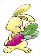 ˫������������ 6��8����14������